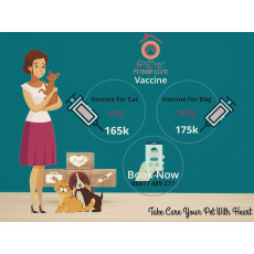 grooming anjing di surabaya