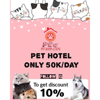 vaksin kucing di pakuwon city