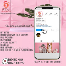 vaksin kucing di kenjeran