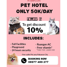 vaksin kucing di surabaya