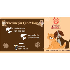 grooming anjing di kenjeran