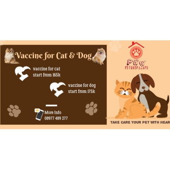 grooming anjing di kenjeran