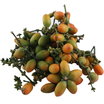 Melinjo 500gram