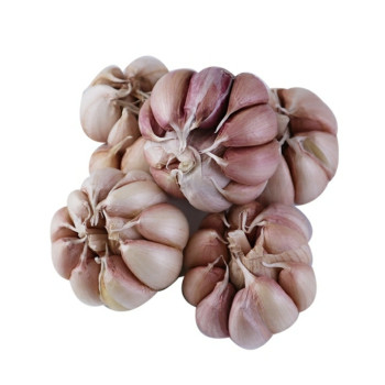 Bawang Putih 500gram