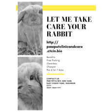 petshop di mulyosari