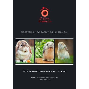 petshop di kenjeran
