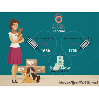 penitipan kucing di pakuwon city