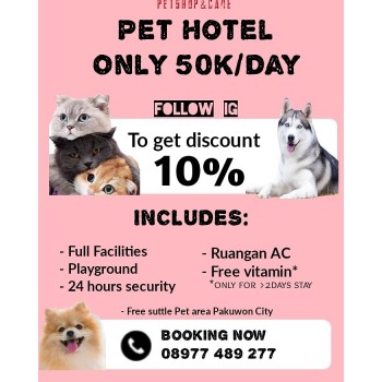 penitipan kucing di surabaya