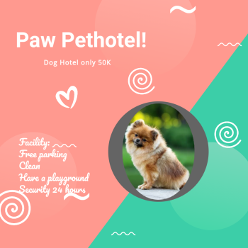 petclinic di kenjeran