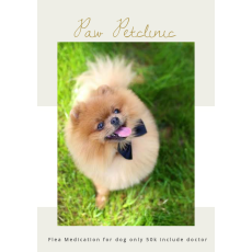 petclinic di pakuwon city