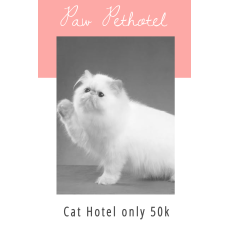 pethotel di mulyosari