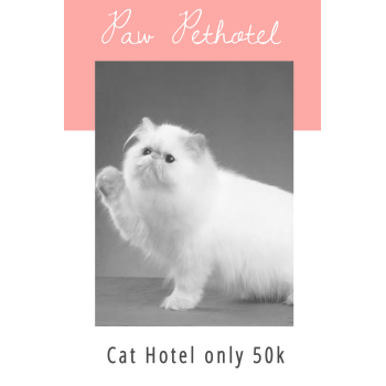 pethotel di surabaya timur