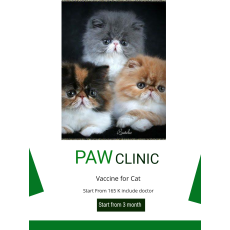 pethotel di pakuwon city