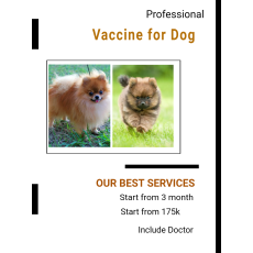 petclinic di mulyosari